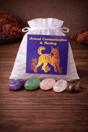 Animal Communication & Healing Bag